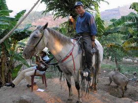 man on horse Nicaragua – Best Places In The World To Retire – International Living